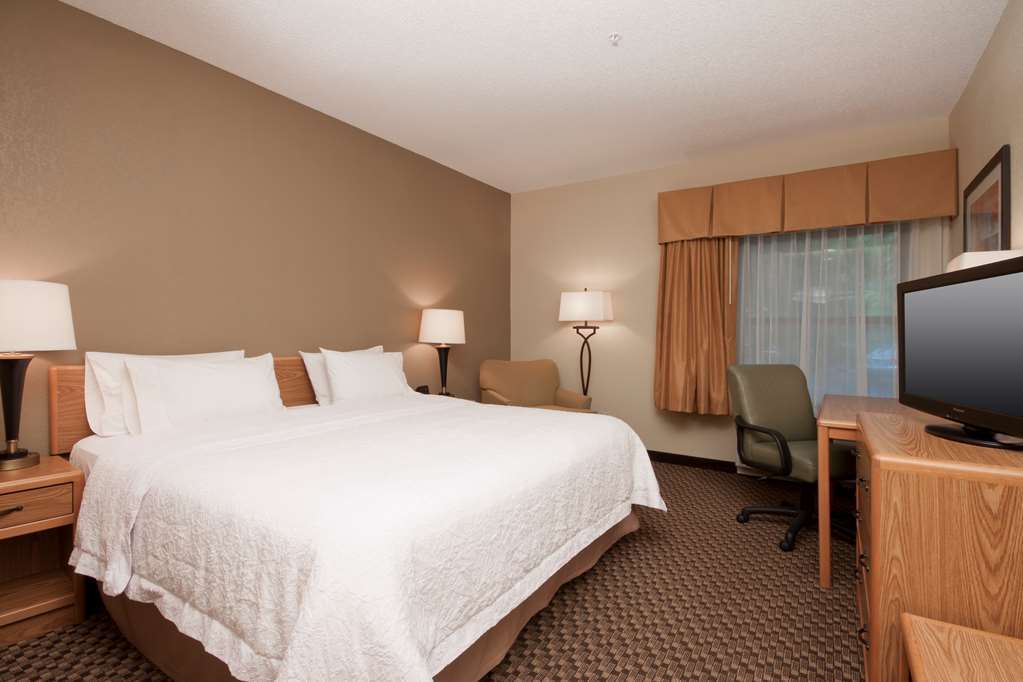 Hampton Inn Binghamton/Johnson City Rom bilde